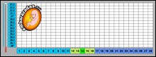 temperatura basal a color