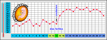 temperatura basal